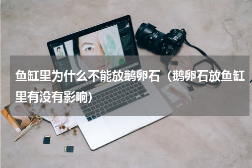 鱼缸里为什么不能放鹅卵石（鹅卵石放鱼缸里有没有影响）