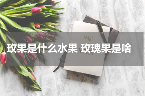 玫果是什么水果 玫瑰果是啥