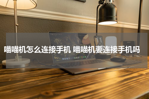 喵喵机怎么连接手机 喵喵机要连接手机吗