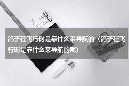 鸽子在飞行时是靠什么来导航的（鸽子在飞行时是靠什么来导航的呢）