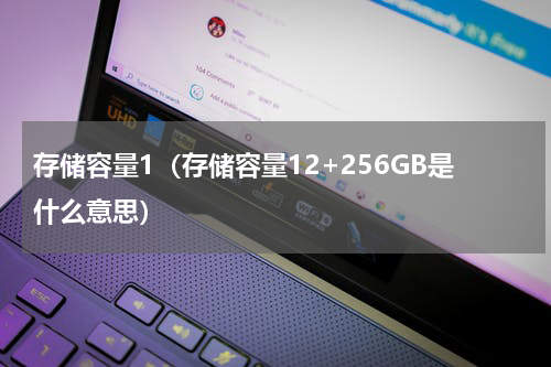 存储容量1（存储容量12+256GB是什么意思）