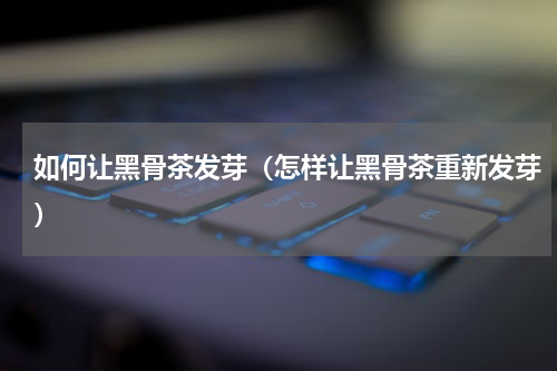 如何让黑骨茶发芽（怎样让黑骨茶重新发芽）