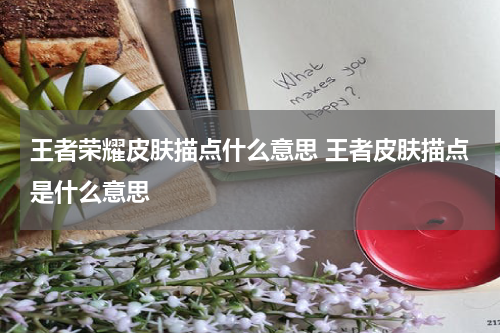 王者荣耀皮肤描点什么意思 王者皮肤描点是什么意思