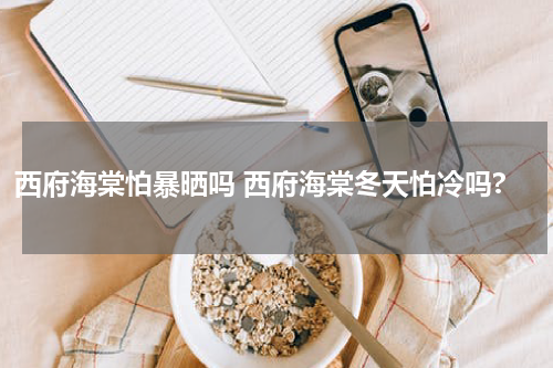 西府海棠怕暴晒吗 西府海棠冬天怕冷吗?
