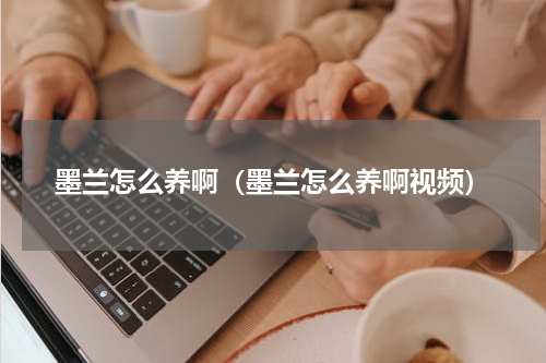 墨兰怎么养啊（墨兰怎么养啊视频）