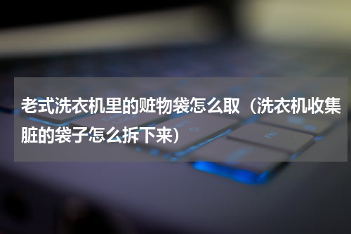老式洗衣机里的赃物袋怎么取（洗衣机收集脏的袋子怎么拆下来）