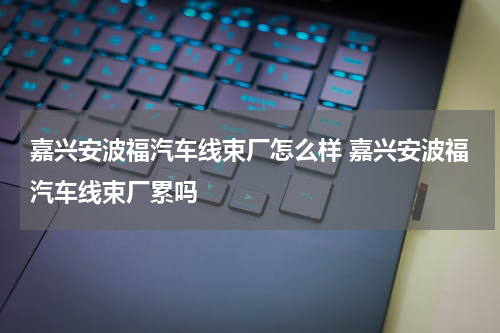嘉兴安波福汽车线束厂怎么样 嘉兴安波福汽车线束厂累吗