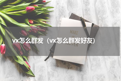 vx怎么群发（vx怎么群发好友）