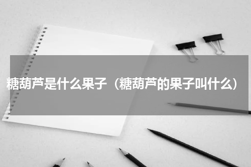 糖葫芦是什么果子（糖葫芦的果子叫什么）