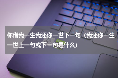 你借我一生我还你一世下一句（我还你一生一世上一句或下一句是什么）