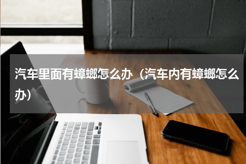 汽车里面有蟑螂怎么办（汽车内有蟑螂怎么办）