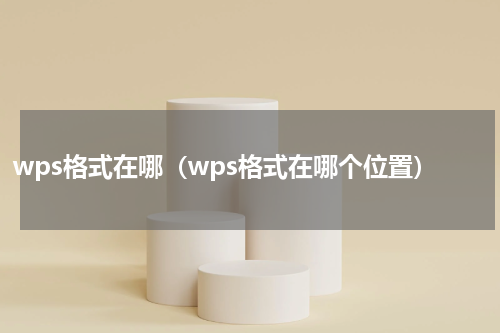 wps格式在哪（wps格式在哪个位置）