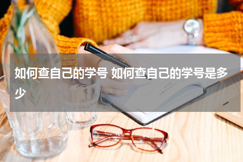 如何查自己的学号 如何查自己的学号是多少