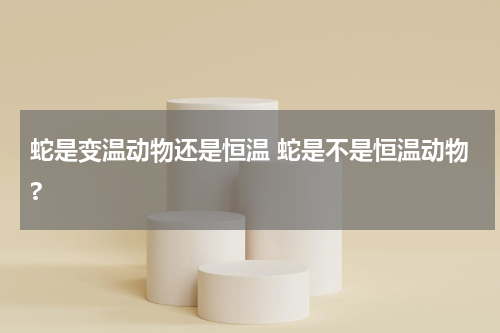 蛇是变温动物还是恒温 蛇是不是恒温动物?