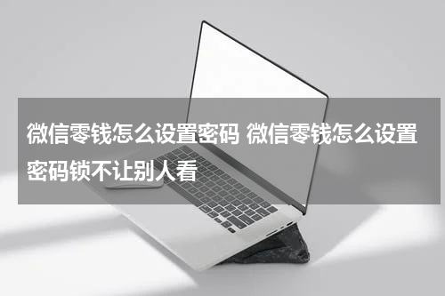 微信零钱怎么设置密码 微信零钱怎么设置密码锁不让别人看