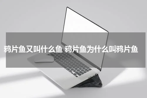 鸦片鱼又叫什么鱼 鸦片鱼为什么叫鸦片鱼