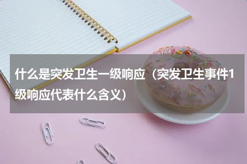 什么是突发卫生一级响应（突发卫生事件1级响应代表什么含义）