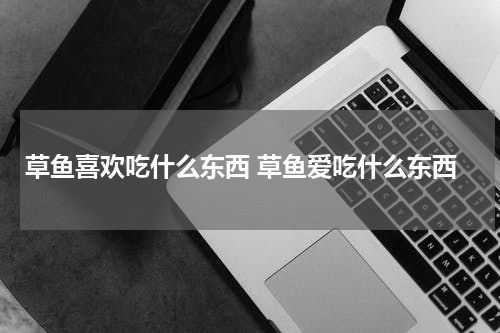 草鱼喜欢吃什么东西 草鱼爱吃什么东西