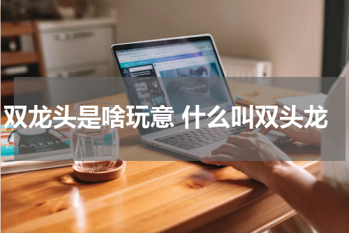 双龙头是啥玩意 什么叫双头龙