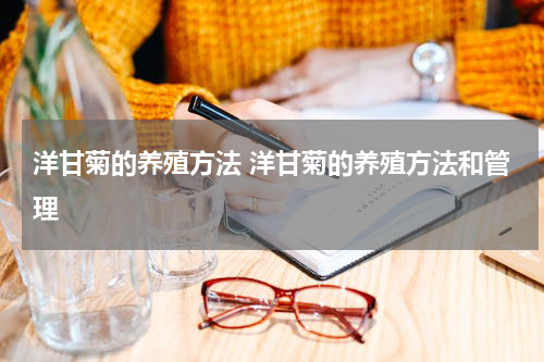 洋甘菊的养殖方法 洋甘菊的养殖方法和管理