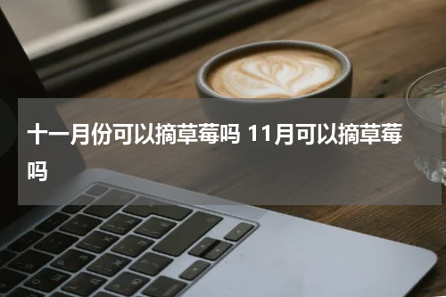 十一月份可以摘草莓吗 11月可以摘草莓吗