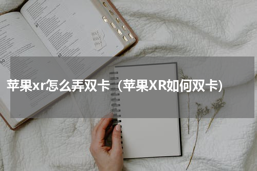 苹果xr怎么弄双卡（苹果XR如何双卡）