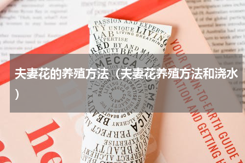 夫妻花的养殖方法（夫妻花养殖方法和浇水）