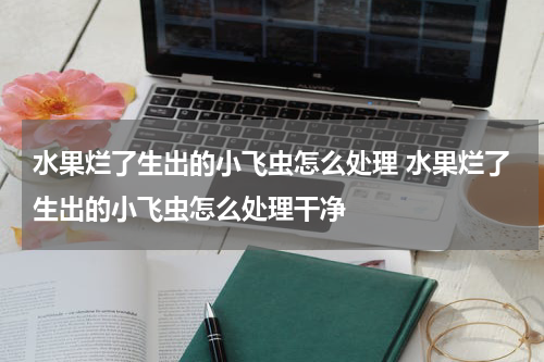 水果烂了生出的小飞虫怎么处理 水果烂了生出的小飞虫怎么处理干净