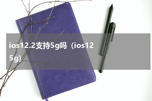 ios12.2支持5g吗（ios12 5g）