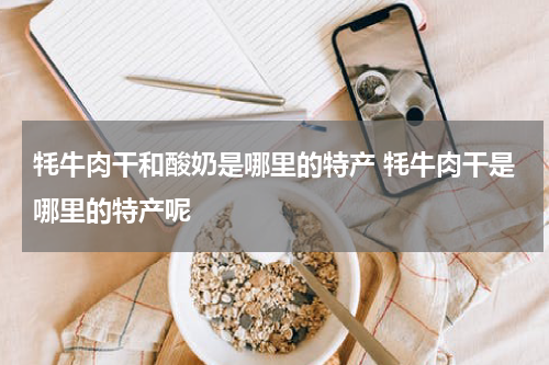 牦牛肉干和酸奶是哪里的特产 牦牛肉干是哪里的特产呢