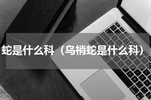 蛇是什么科（乌梢蛇是什么科）