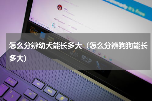 怎么分辨幼犬能长多大（怎么分辨狗狗能长多大）