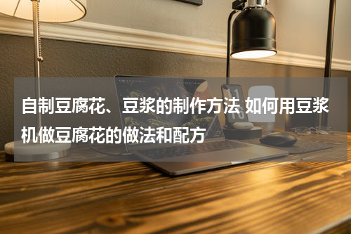 自制豆腐花、豆浆的制作方法 如何用豆浆机做豆腐花的做法和配方