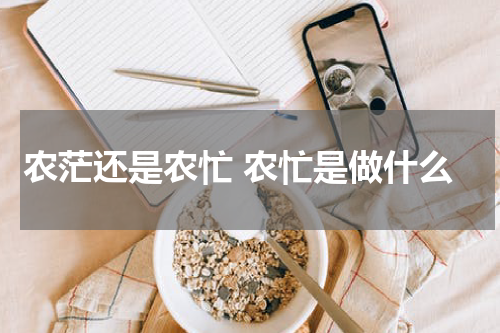 农茫还是农忙 农忙是做什么