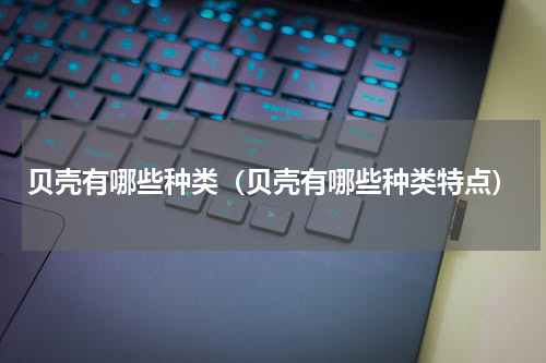 贝壳有哪些种类（贝壳有哪些种类特点）