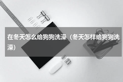 在冬天怎么给狗狗洗澡（冬天怎样给狗狗洗澡）