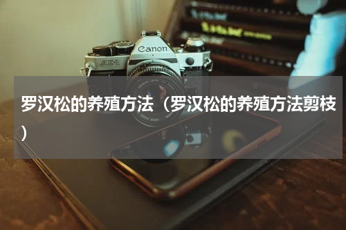 罗汉松的养殖方法（罗汉松的养殖方法剪枝）