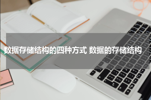 数据存储结构的四种方式 数据的存储结构