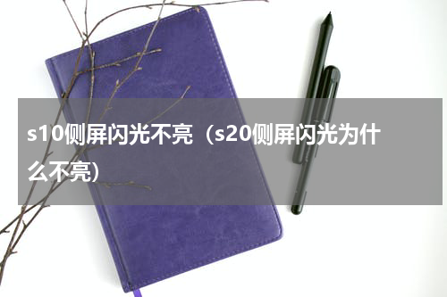 s10侧屏闪光不亮（s20侧屏闪光为什么不亮）