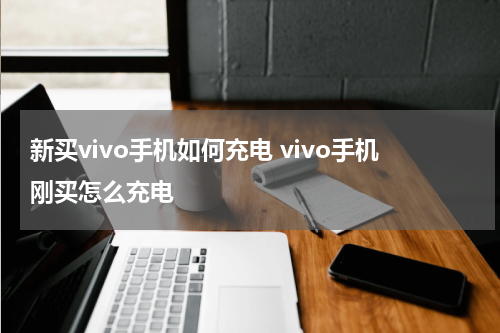 新买vivo手机如何充电 vivo手机刚买怎么充电