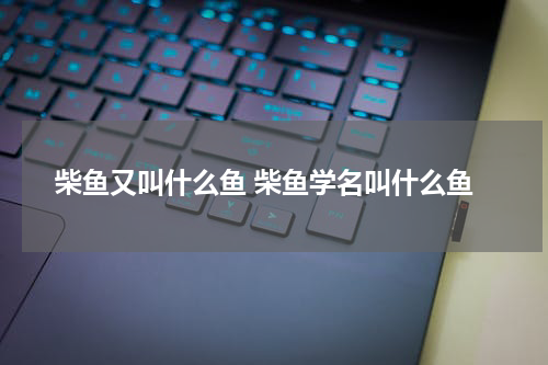 柴鱼又叫什么鱼 柴鱼学名叫什么鱼