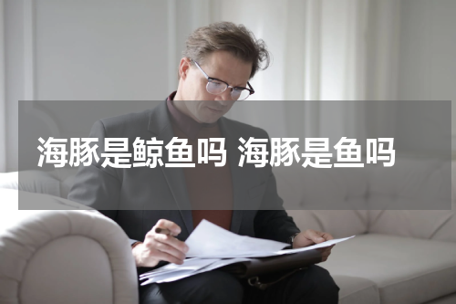 海豚是鲸鱼吗 海豚是鱼吗