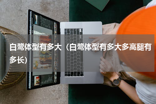 白鹭体型有多大（白鹭体型有多大多高腿有多长）