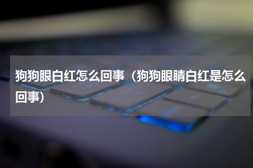 狗狗眼白红怎么回事（狗狗眼睛白红是怎么回事）
