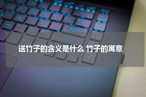 送竹子的含义是什么 竹子的寓意