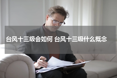 台风十三级会如何 台风十三级什么概念