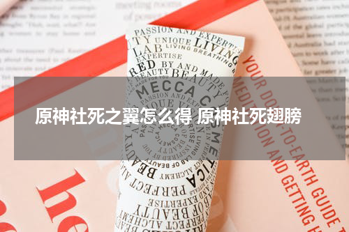 原神社死之翼怎么得 原神社死翅膀