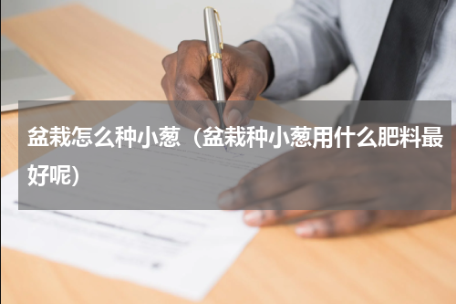 盆栽怎么种小葱（盆栽种小葱用什么肥料最好呢）