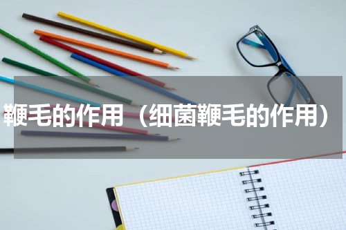 鞭毛的作用（细菌鞭毛的作用）