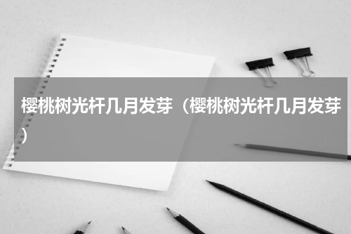樱桃树光杆几月发芽（樱桃树光杆几月发芽）